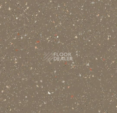 Линолеум Forbo SureStep Original 171262 umber фото 1 | FLOORDEALER